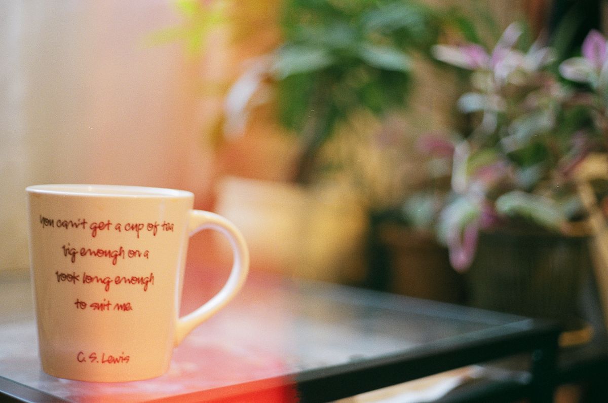 An analog photo of a white mug with out of focus plants in the background